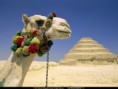 /album/fotogalerie/saqqara-egypt-jpg/